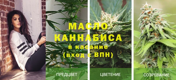 шишки Болохово