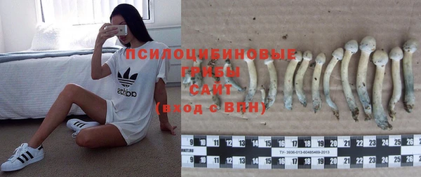 Альфа ПВП Бугульма